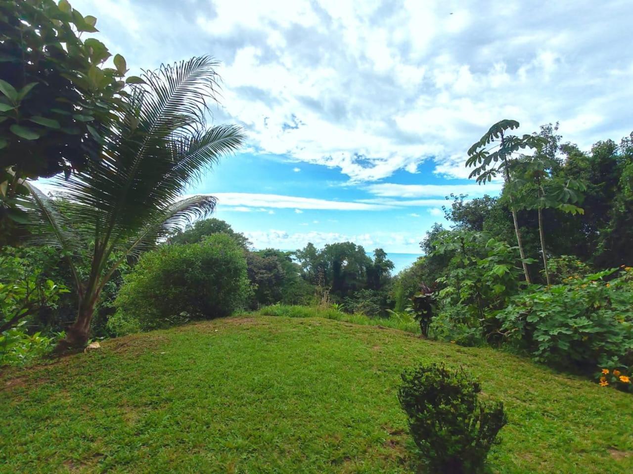 Corcovado Green Cabin Drakes Bay Buitenkant foto
