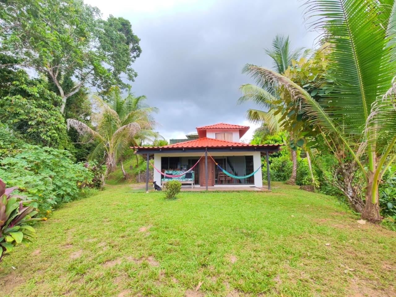 Corcovado Green Cabin Drakes Bay Buitenkant foto