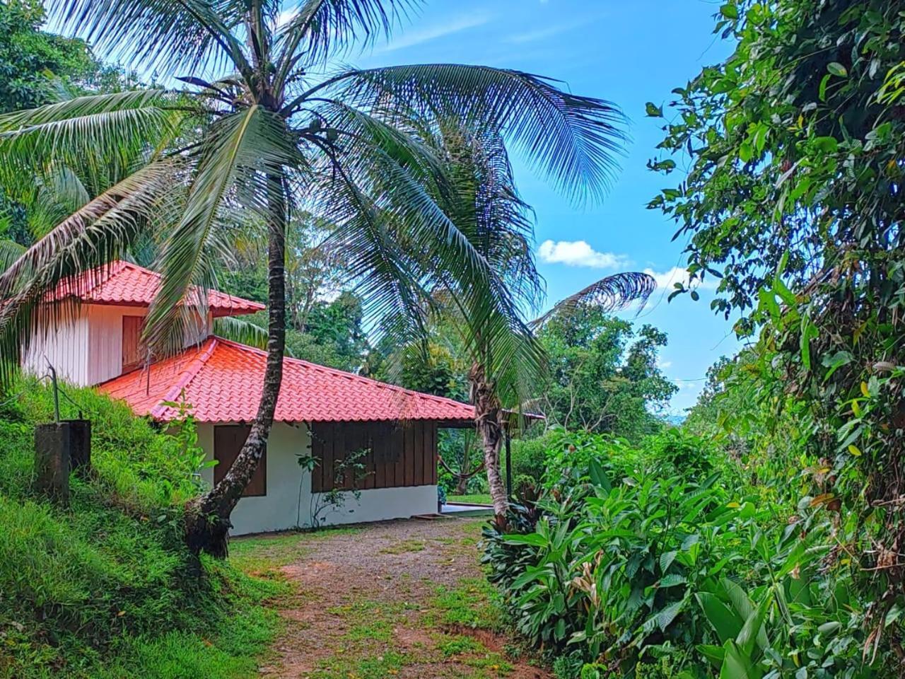 Corcovado Green Cabin Drakes Bay Buitenkant foto