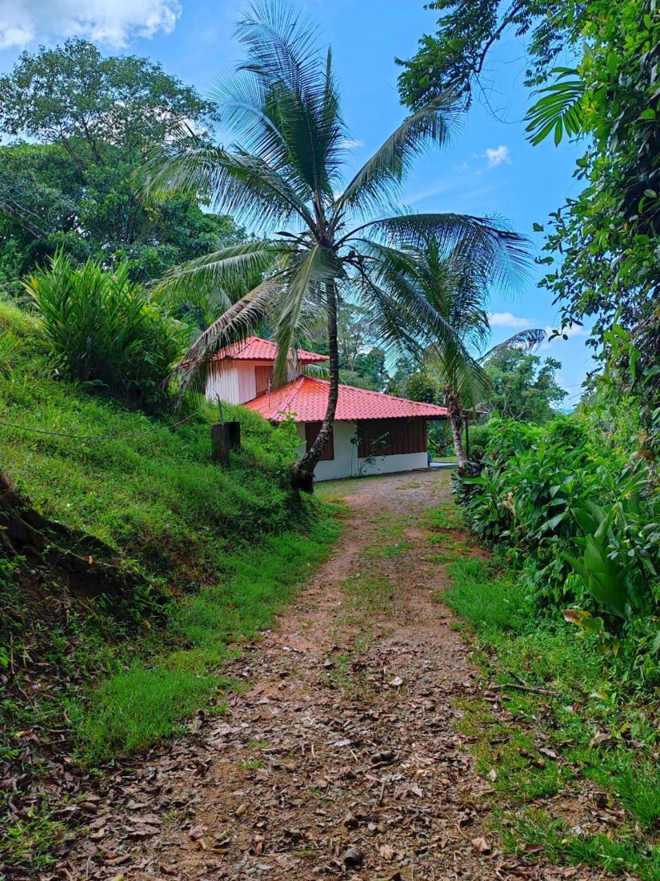 Corcovado Green Cabin Drakes Bay Buitenkant foto